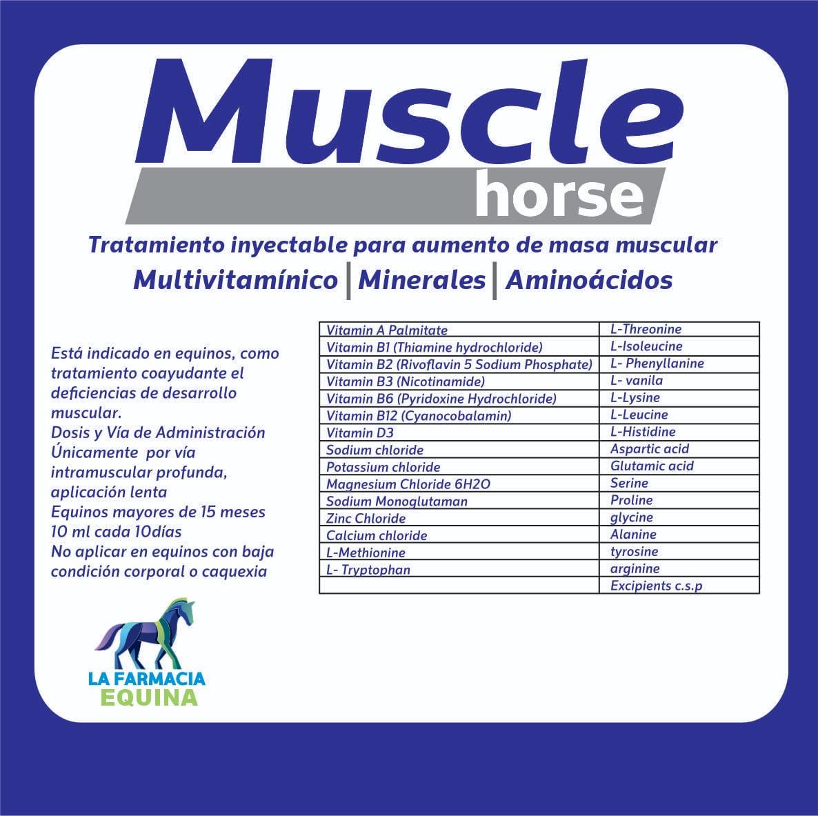 MUSCLE