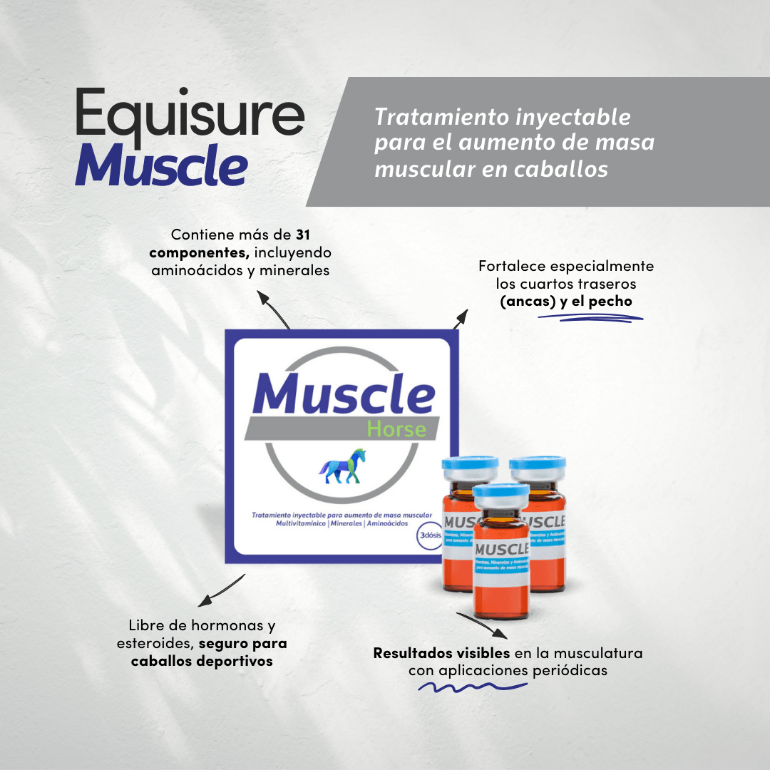 MUSCLE