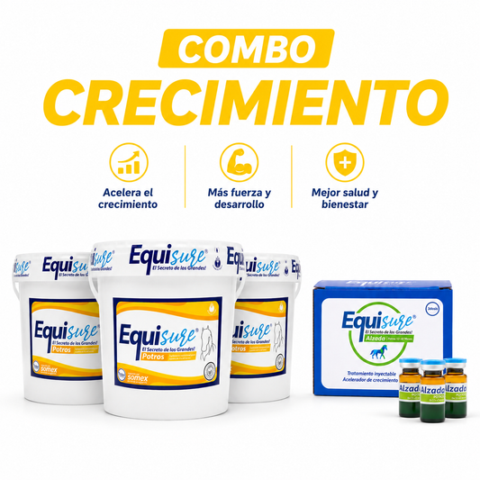 COMBO Equisure Crecimiento