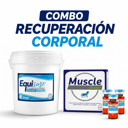 COMBO Equisure Recuperación Corporal
