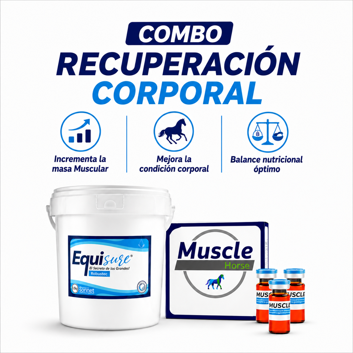 COMBO Equisure Recuperación Corporal