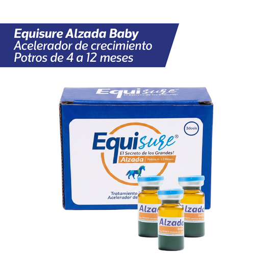 EQUISURE ALZADA BABY