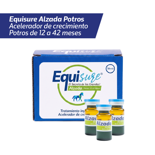 EQUISURE ALZADA POTROS