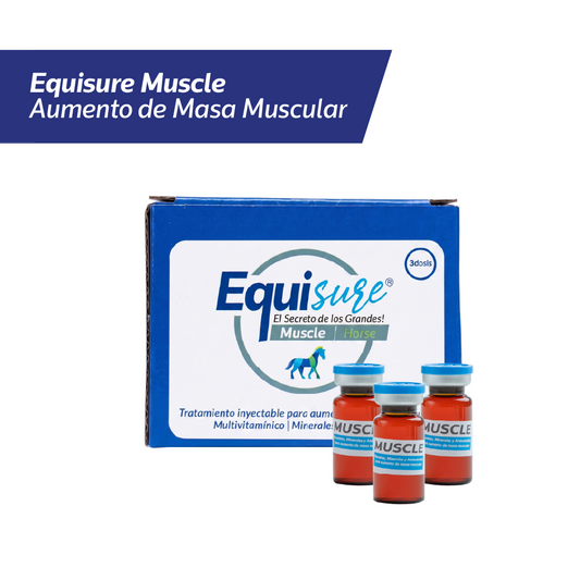 EQUISURE MUSCLE