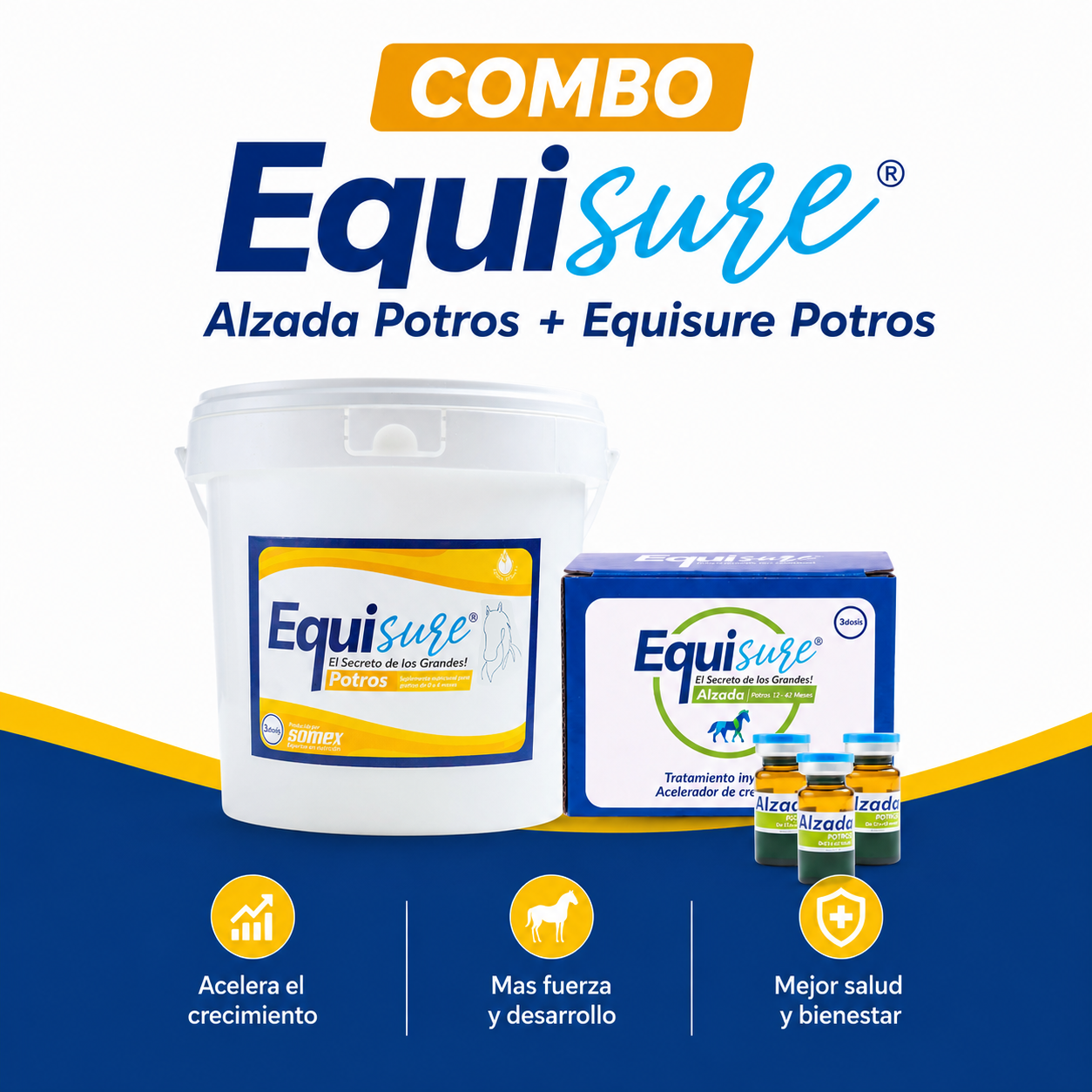 Combo Equisure Alzada Potros + Equisure Potros