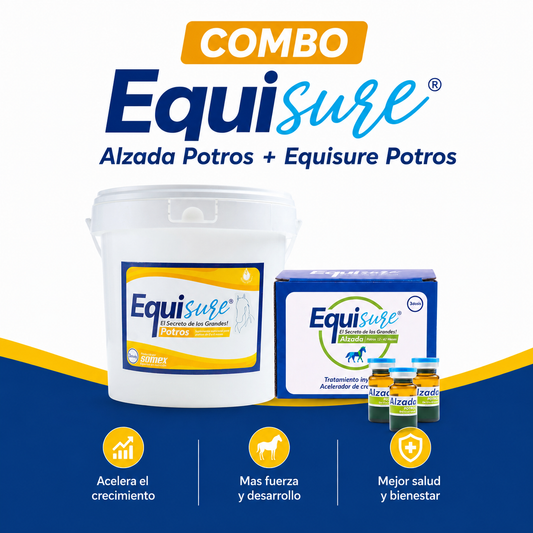 Combo Equisure Alzada Potros + Equisure Potros