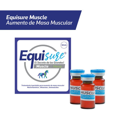 EQUISURE MUSCLE