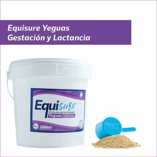 EQUISURE YEGUAS®